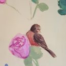 Meadow Lane: Robin