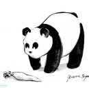 Pandaikon