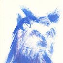 Owl sketch