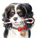 Christmas Coda