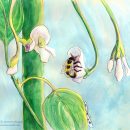 Untitled -- Garden 4
