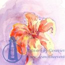Sunburst Lily