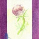 Thistle