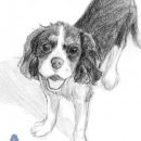 Coda sketch