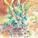 14 1/2" x 22", $750 (framed). Also available as a notecard. Sprouting