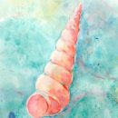 Spiral Shell